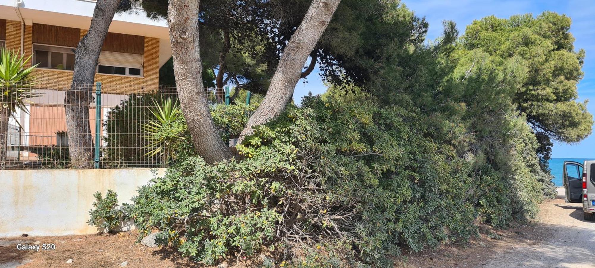Apartament Puerto Azul 1 Peñiscola Zewnętrze zdjęcie
